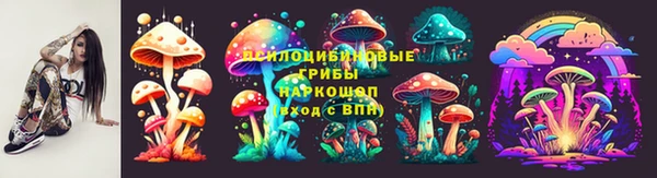 СК Володарск