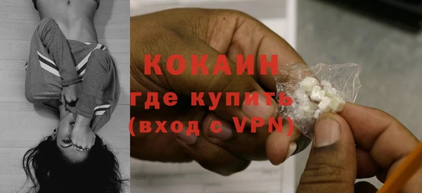 крисы Белокуриха
