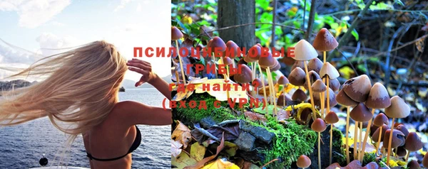 крисы Белокуриха
