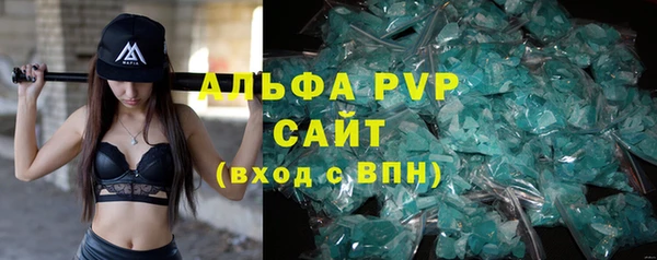 крисы Белокуриха