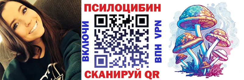 цены наркотик  Купино  Галлюциногенные грибы мицелий 